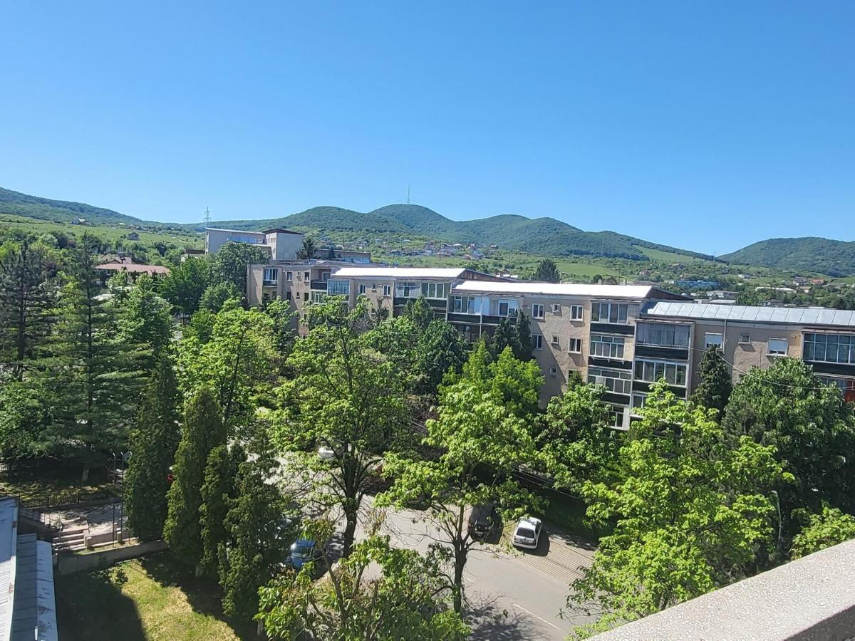 Apartament in regim hotelier Deva Exterior foto
